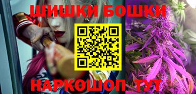 дмт Гай