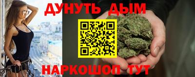 дмт Гай