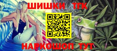 дмт Гай