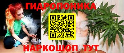 кокс Гатчина