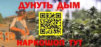 дмт Гай