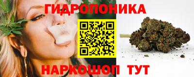 кокс Гатчина