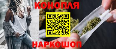 дмт Гай