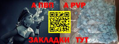 кокс Гатчина