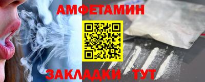кокс Гатчина