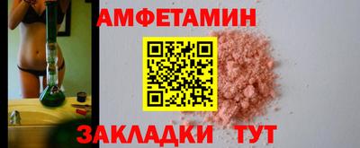 кокс Гатчина