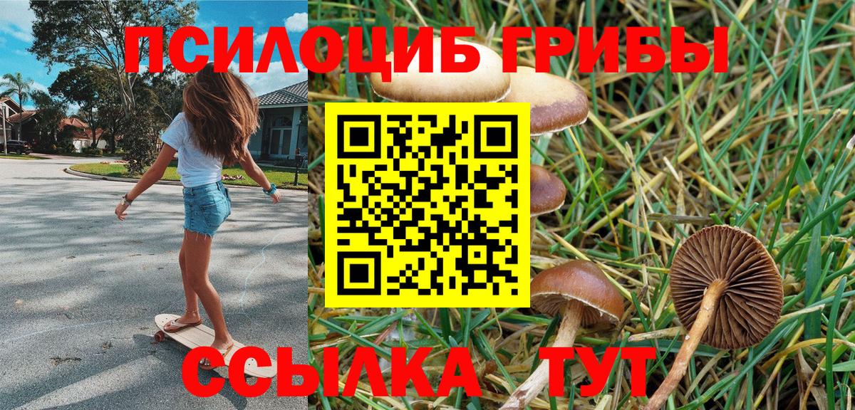 Псилоцибиновые грибы ЛСД  Вход с VPN  Учалы  Галлюциногенные грибы GOLDEN TEACHER 